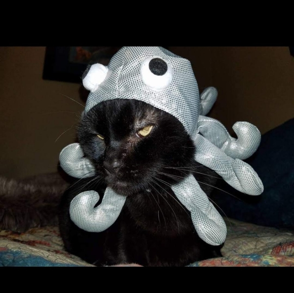 Meet your Posher, Emily - Picture 12 of 14